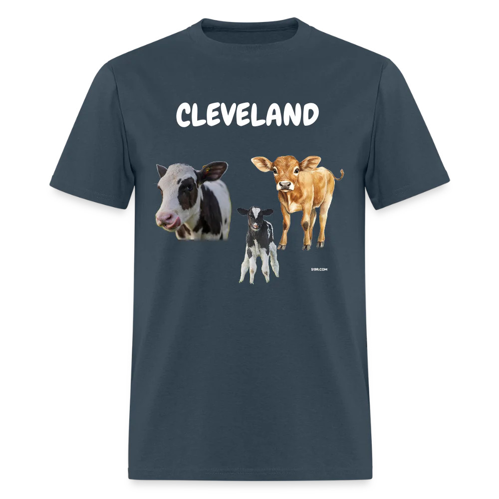 CAVS