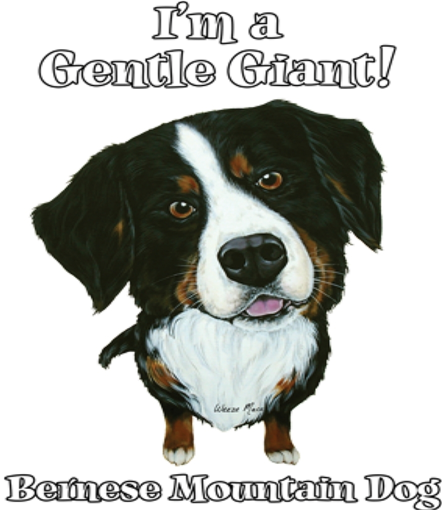 Bernese Mountain Dog Shirt – Gentle Giant – Berner Sennenhund – Small – 5X