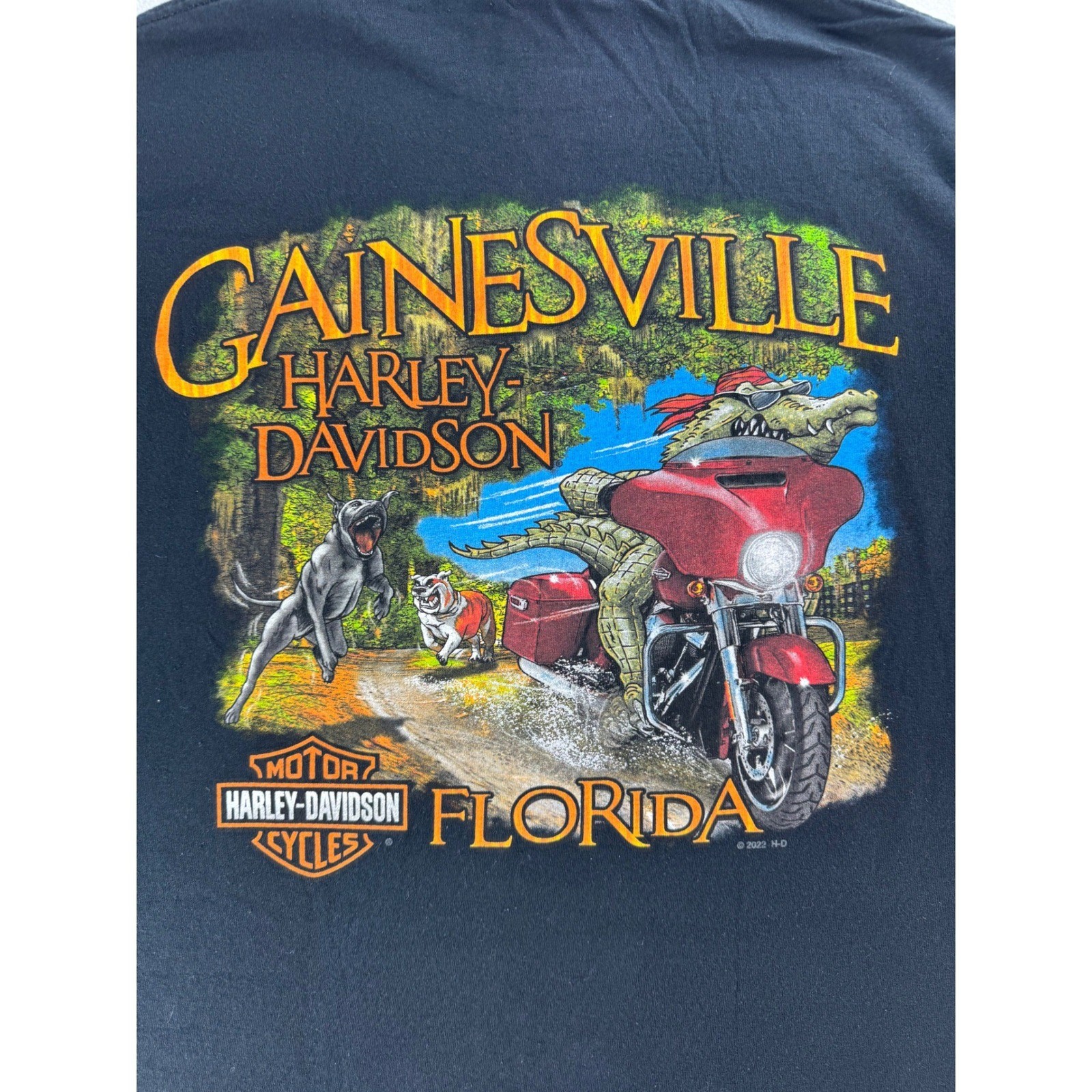 Harley Davidson Skull Graphic T Shirt Men Medium Black Worlds Finest Gainesville