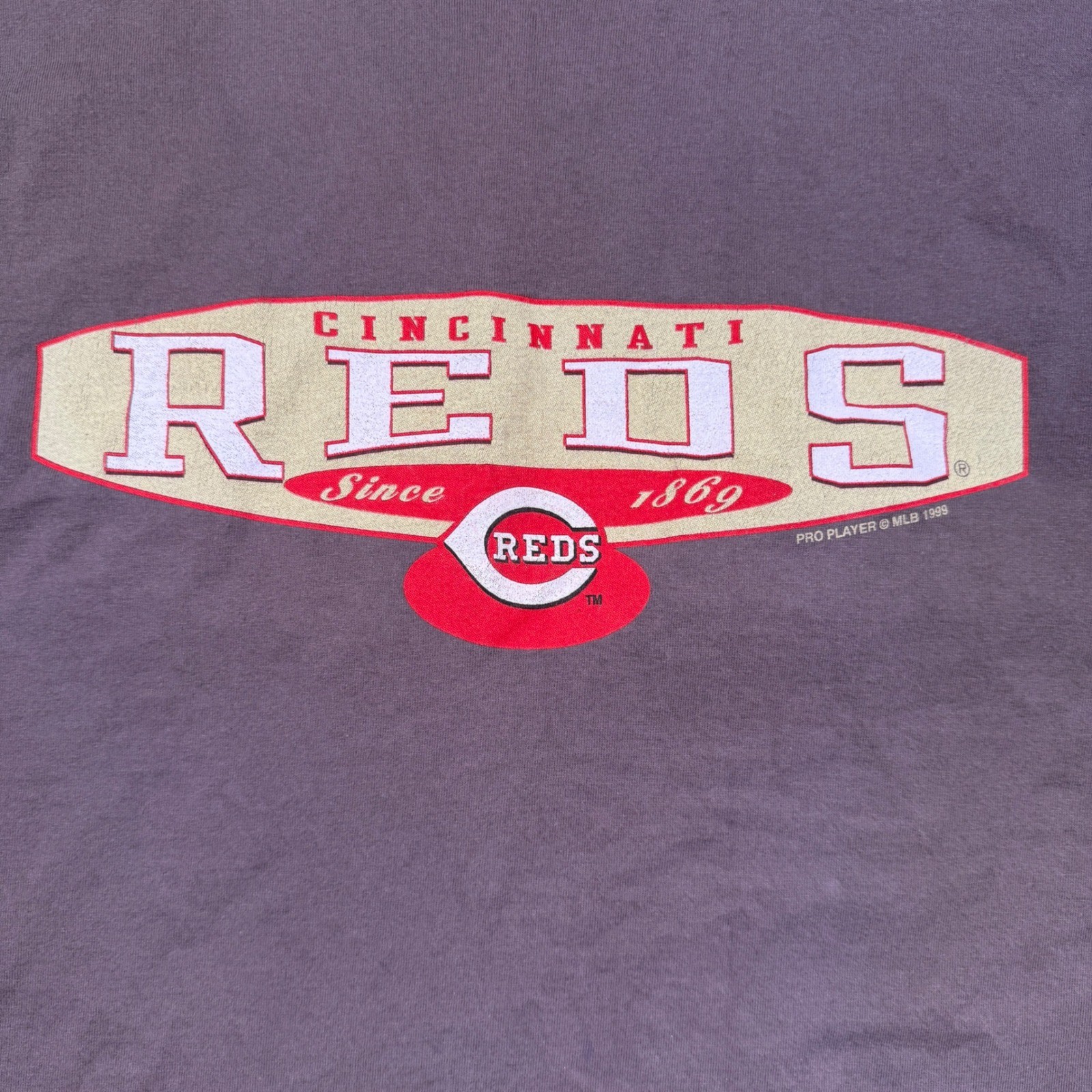 Vintage 1999 Pro Player Cincinnati Reds Baseball Graphic Tee Mens Large 90s MLB