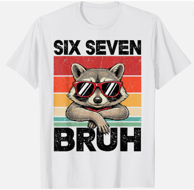 Funny 67 Meme 6 7 Six Seven Bruh Raccoon Unisex T-Shirt