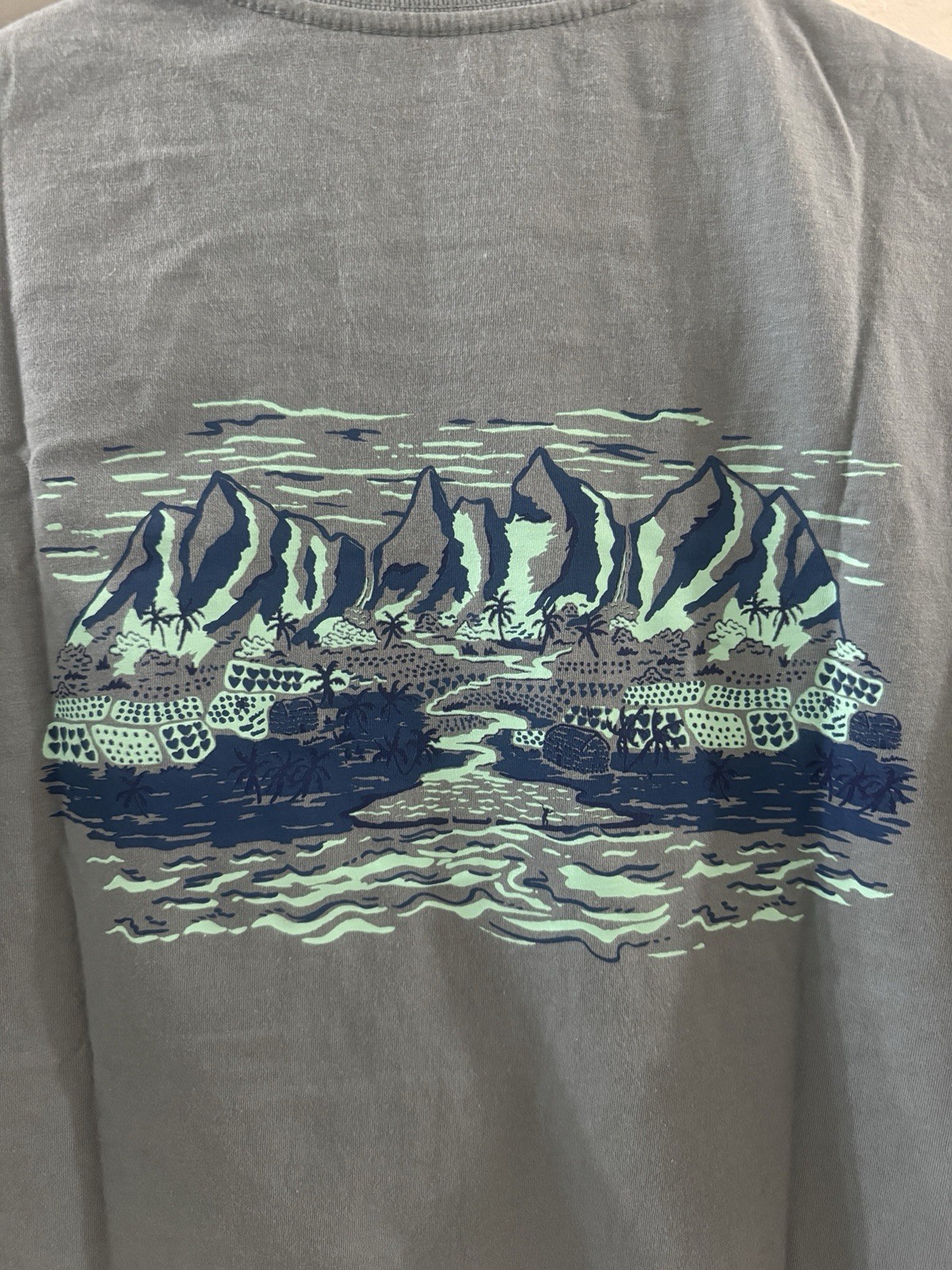 Patagonia M’s Malama ‘Aina Pocket T-Shirt – Hawaii 37852 Color: BLSG Size: S New