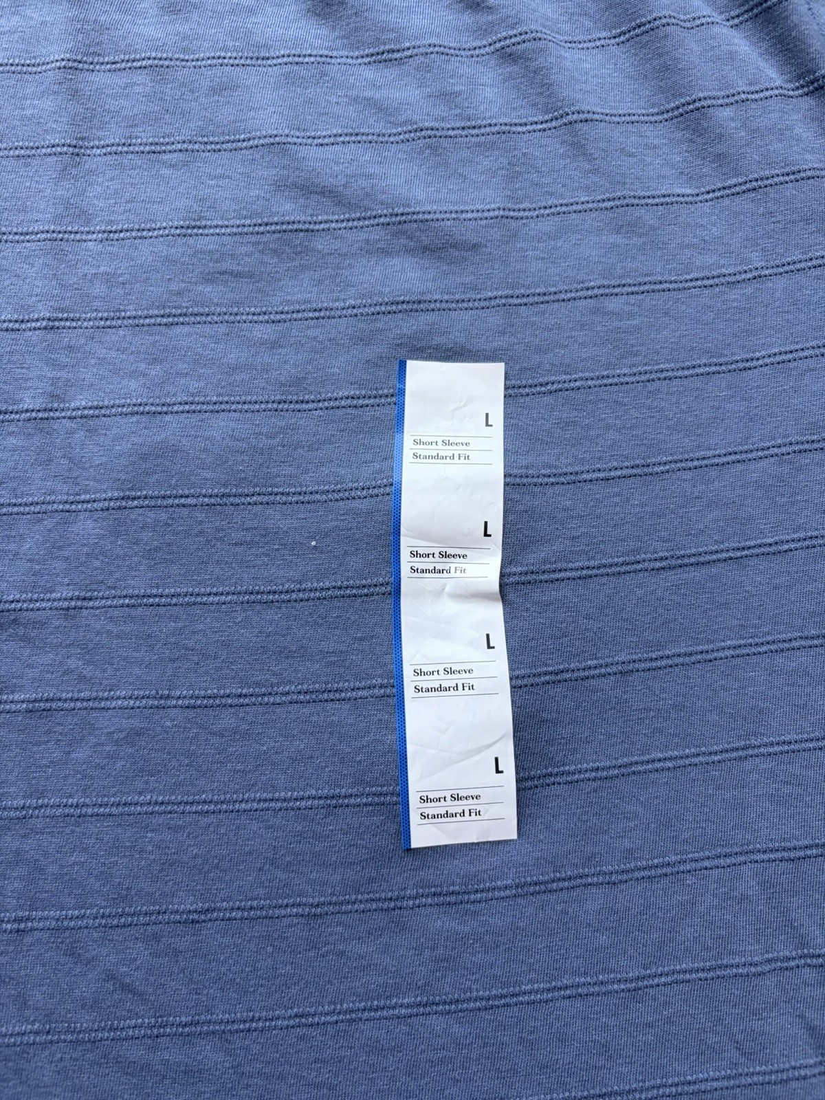 Goodfellow & Co Men’s L Standard Fit Crew Neck Short Sleeve Blue Stripe Tee