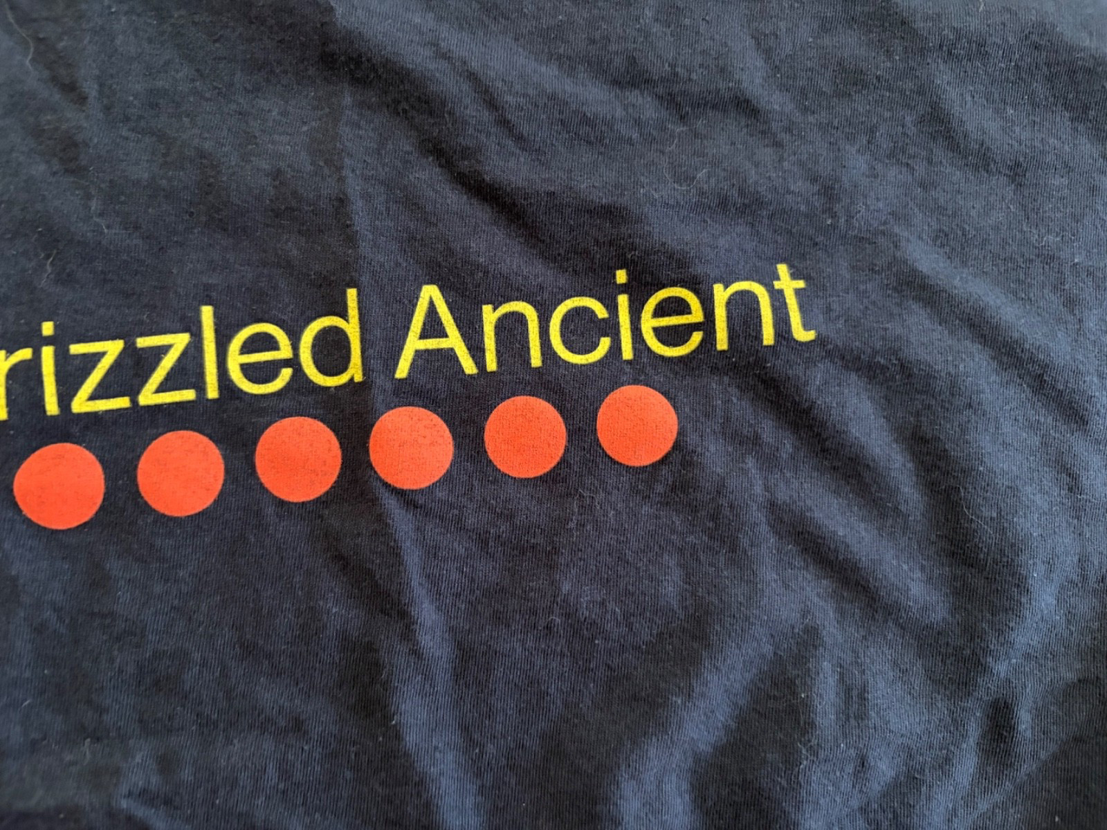 Bungie 2012-2013 Pentathlon Grizzled Ancient T Shirt XL Used RARE