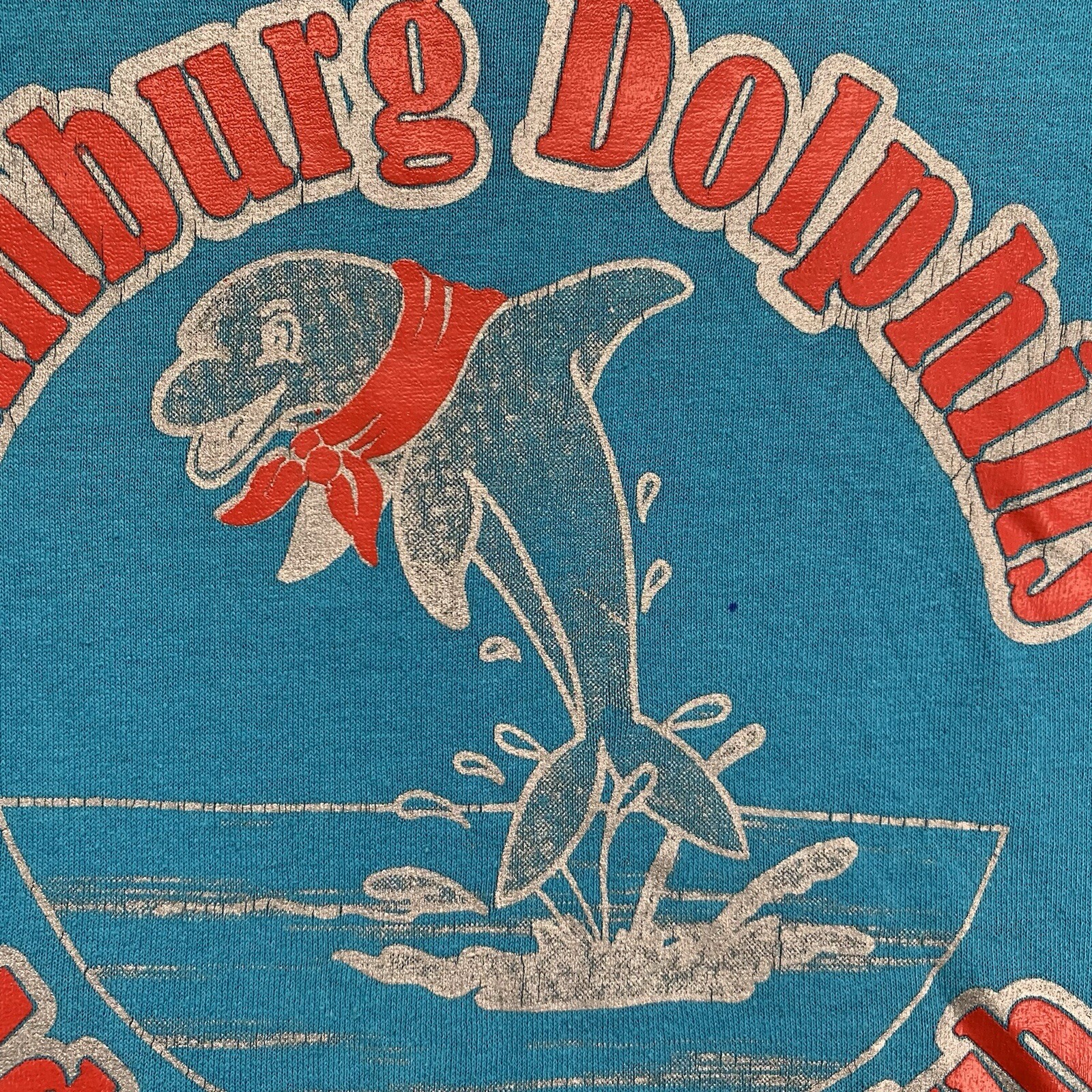 Vintage Blue T Shirt Mens Size Medium Edinburg Dolphins Adventurer Club Director