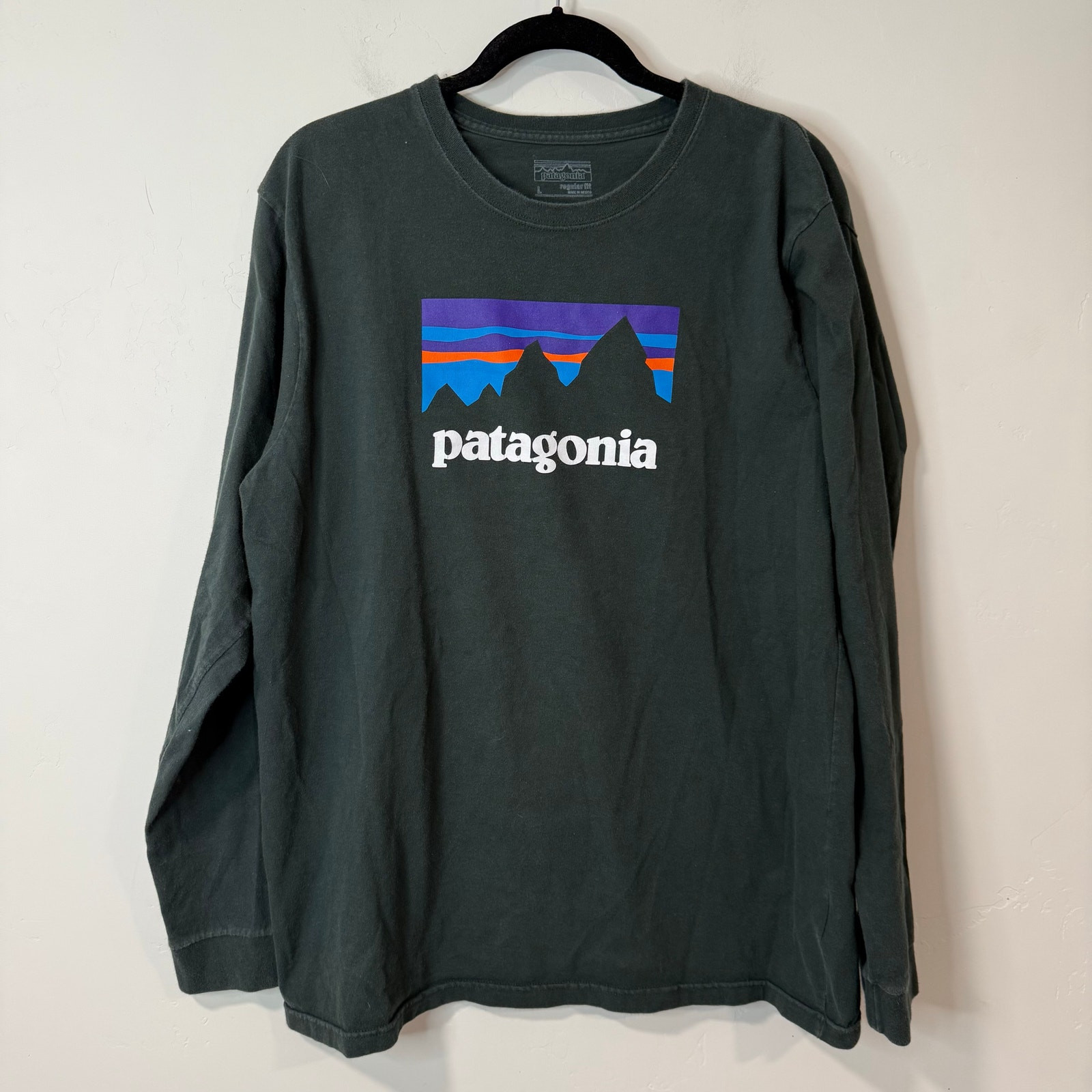 Patagonia Men’s Shop Sticker Long-Sleeve Tee Graphic Logo Dark Green Large