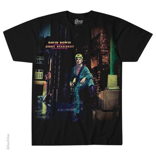 DAVID BOWIE-The Rise n Fall-ZIGGY STARDUST-T-SHIRT S-M-L-XL-2X