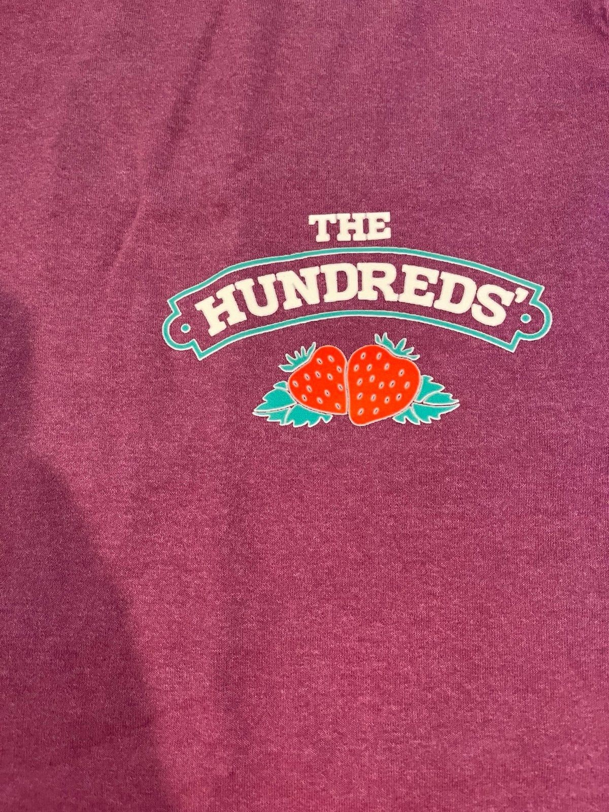 The Hundreds Strawberry Logo Graphic T-Shirt Burgundy Men’s Large NWOT Street