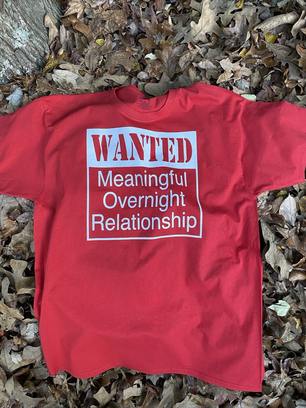 Wanted Meaningful Overnight Relationship Tshirt Choose Size And Color Small-2xl