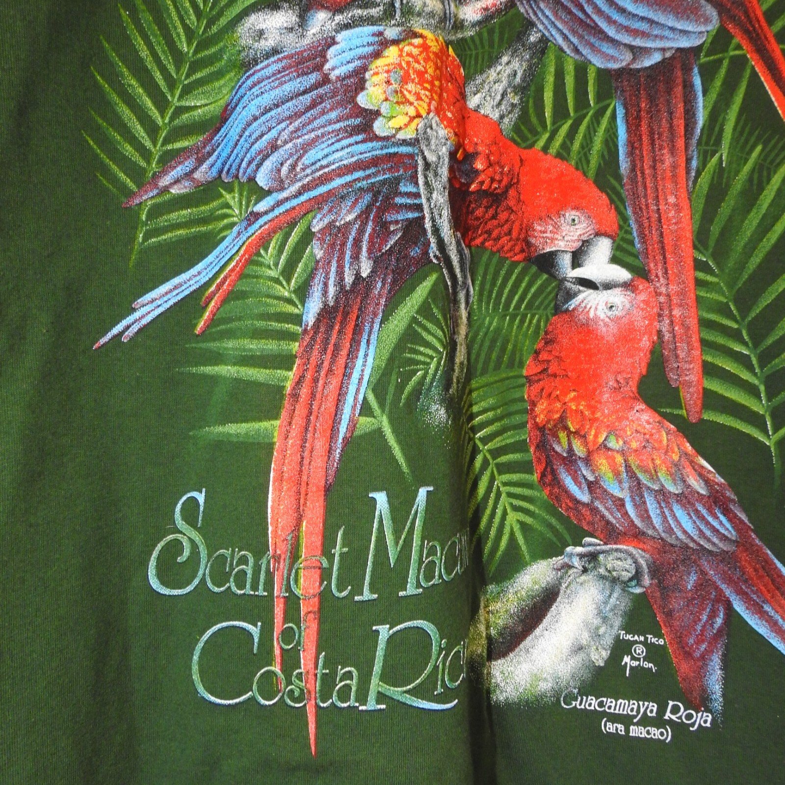 Vintage Tucan Tico Costa Rica Macaw Graphic T Shirt Size L Green New With Tags