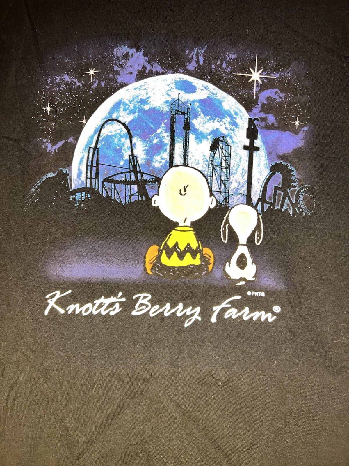 Peanuts x Knott’s Berry Farm graphic tee featuring Charlie Brown and Snoopy L