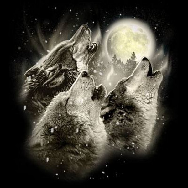Wolf Howl T Shirt Choose Style & Size Up to 4XL 10461