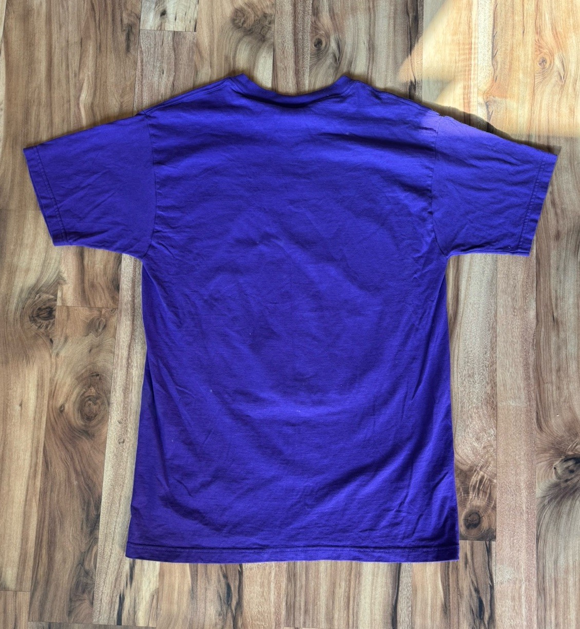 NEW ORLEANS MILLENIUM 2000 Y2K MARDI GRAS Shirt Artwork By Andrea Mistretta