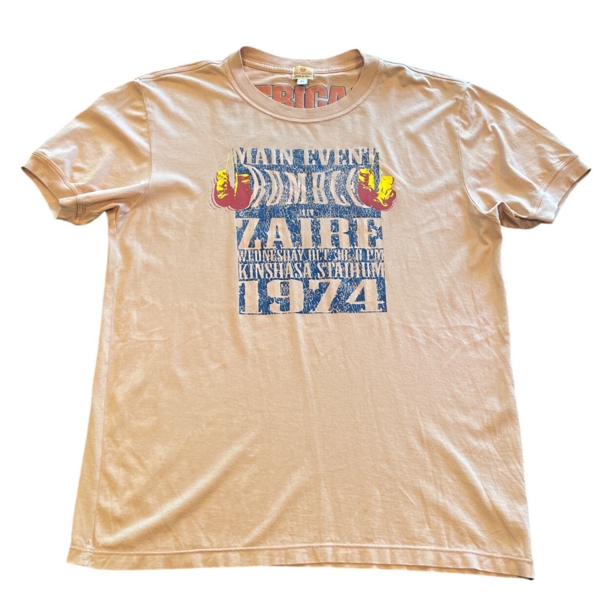 VTG 2005 AG Mens M/L Reversible Graphic Print Tee Crewneck Zaire African Lions