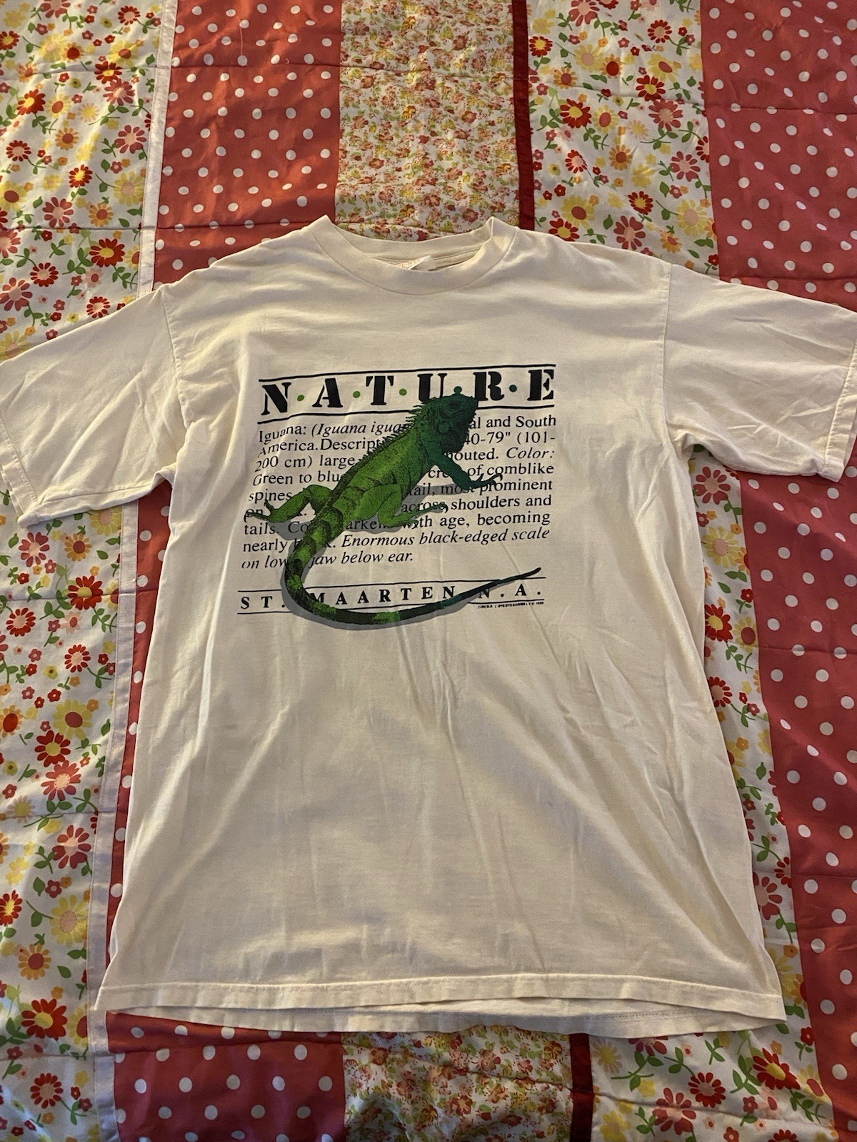 Bye-Bye 1996 Vintage Nature St. Maarten N.A. Iguana Graphic Light Pink T-shirt L