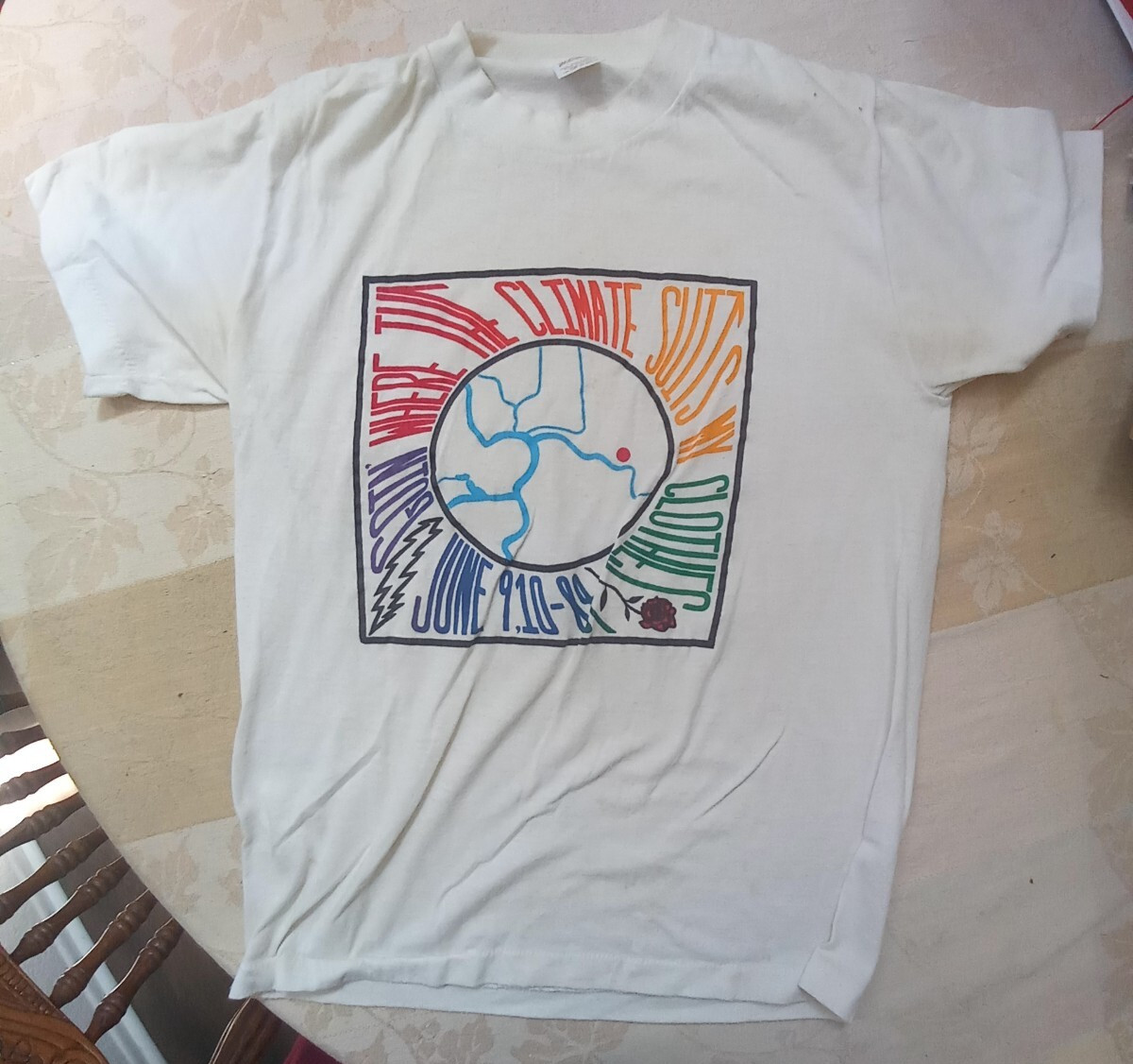 Vintage Grateful Dead Goin’ Where The Climate Suits My Clothes Small T-Shirt