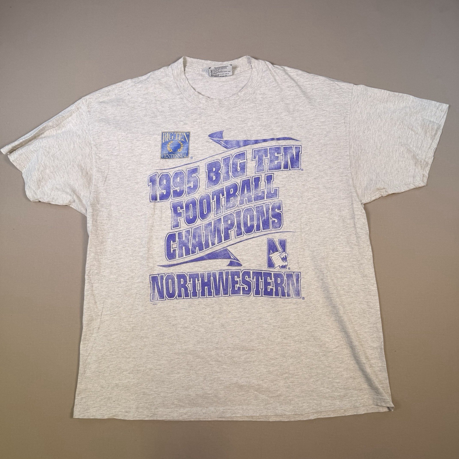 VTG 1995 Big Ten Football Champions Northwestern University T Shirt Gray XL S.S.