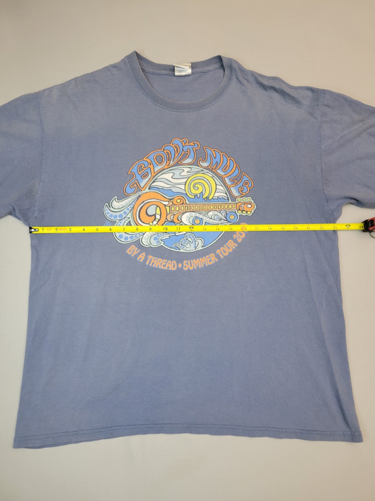 Govt Mule Vintage T-Shirt By A Thread Summer 2010 Tour Size XL