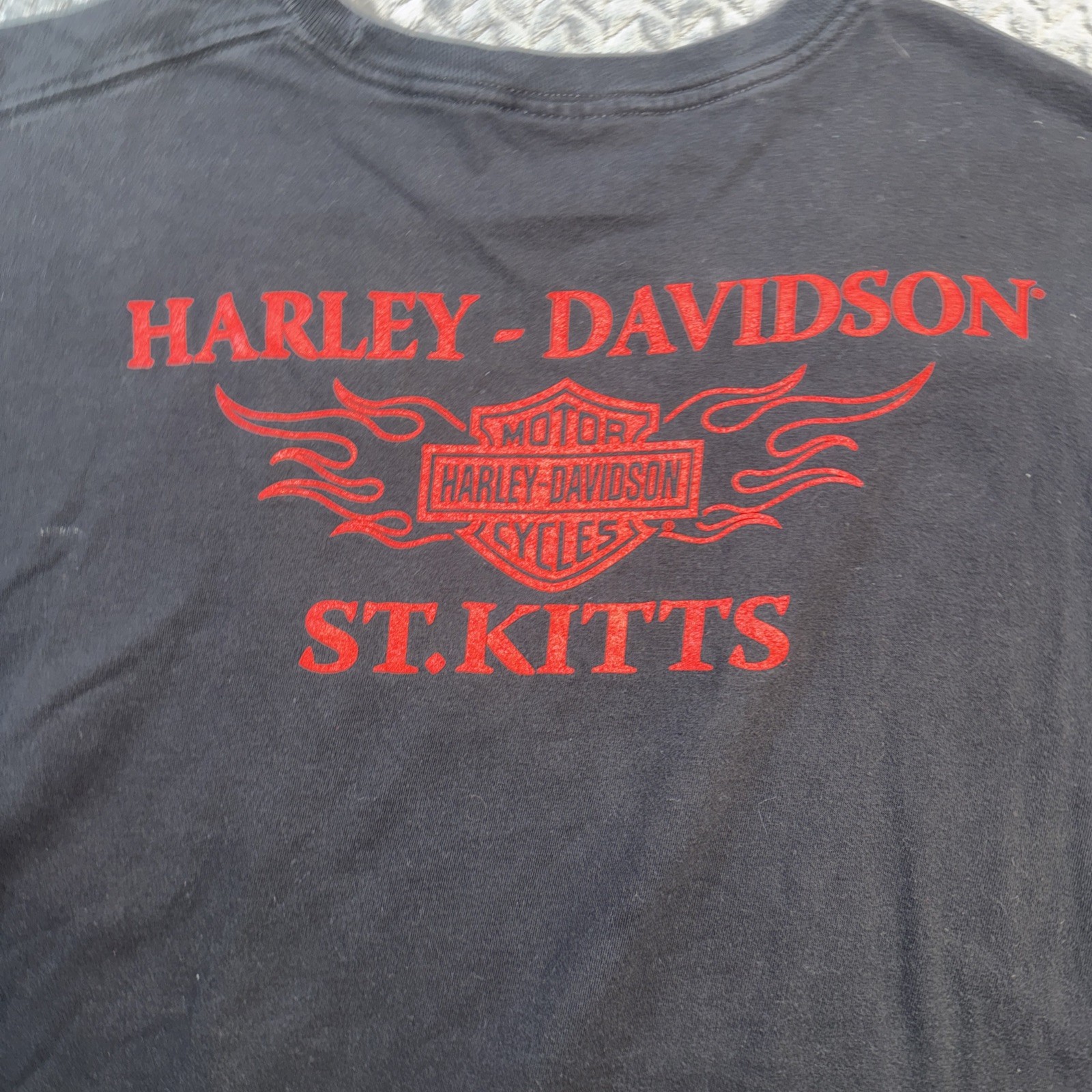 Harley Davidson Men’s Graphic Print Riding High Engine T-shirt Sz 3XL