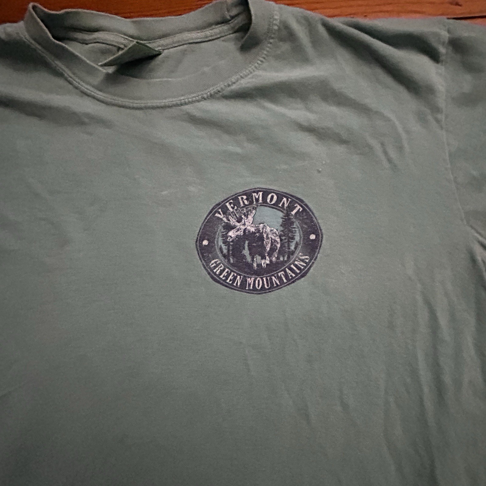 Comfort Colors Vermont Green Mountains cotton t-shirt with moose graphic, Large