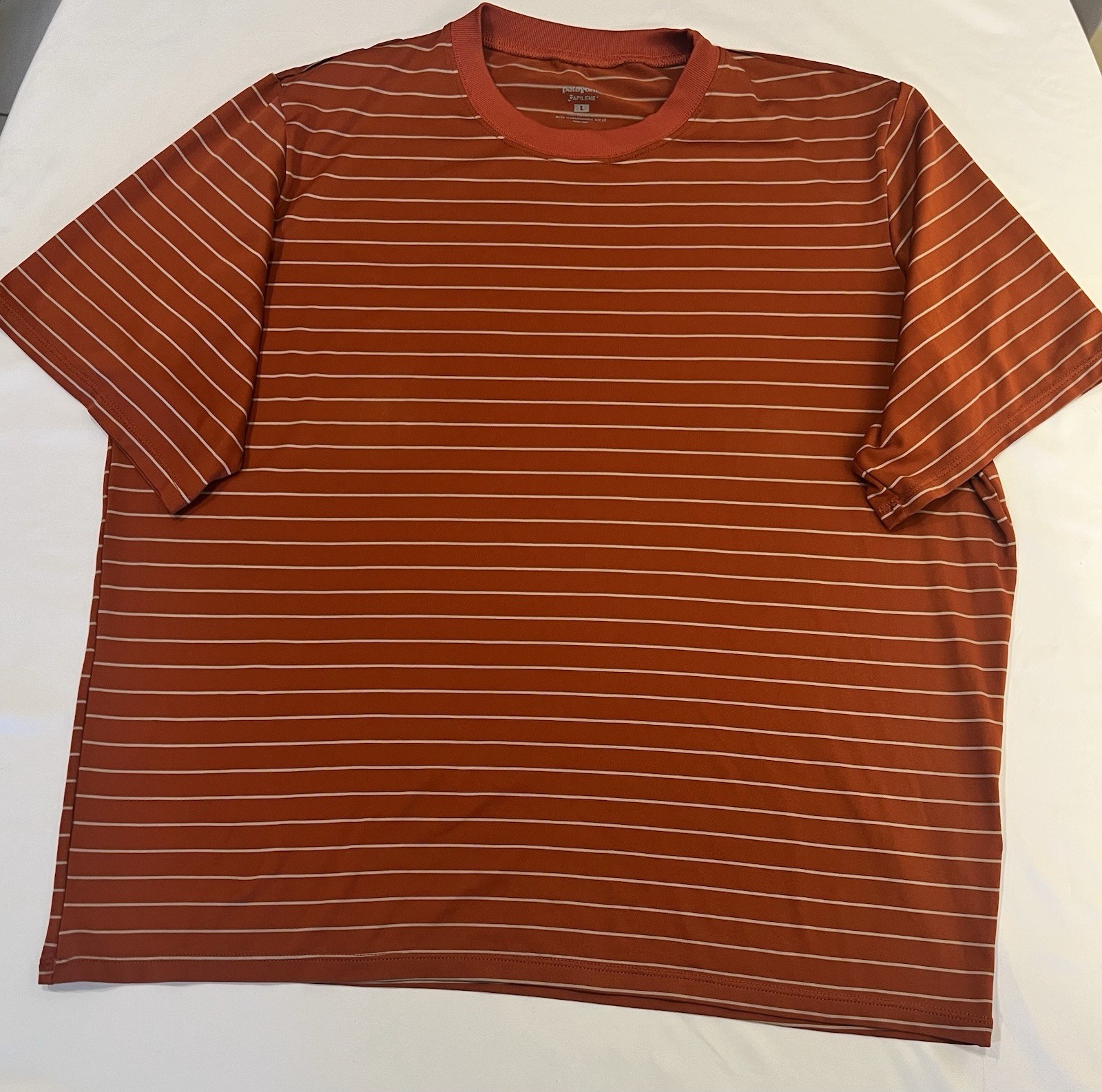 Patagonia Capilene Men’s L Striped Crew Neck Short Sleeve T-Shirt