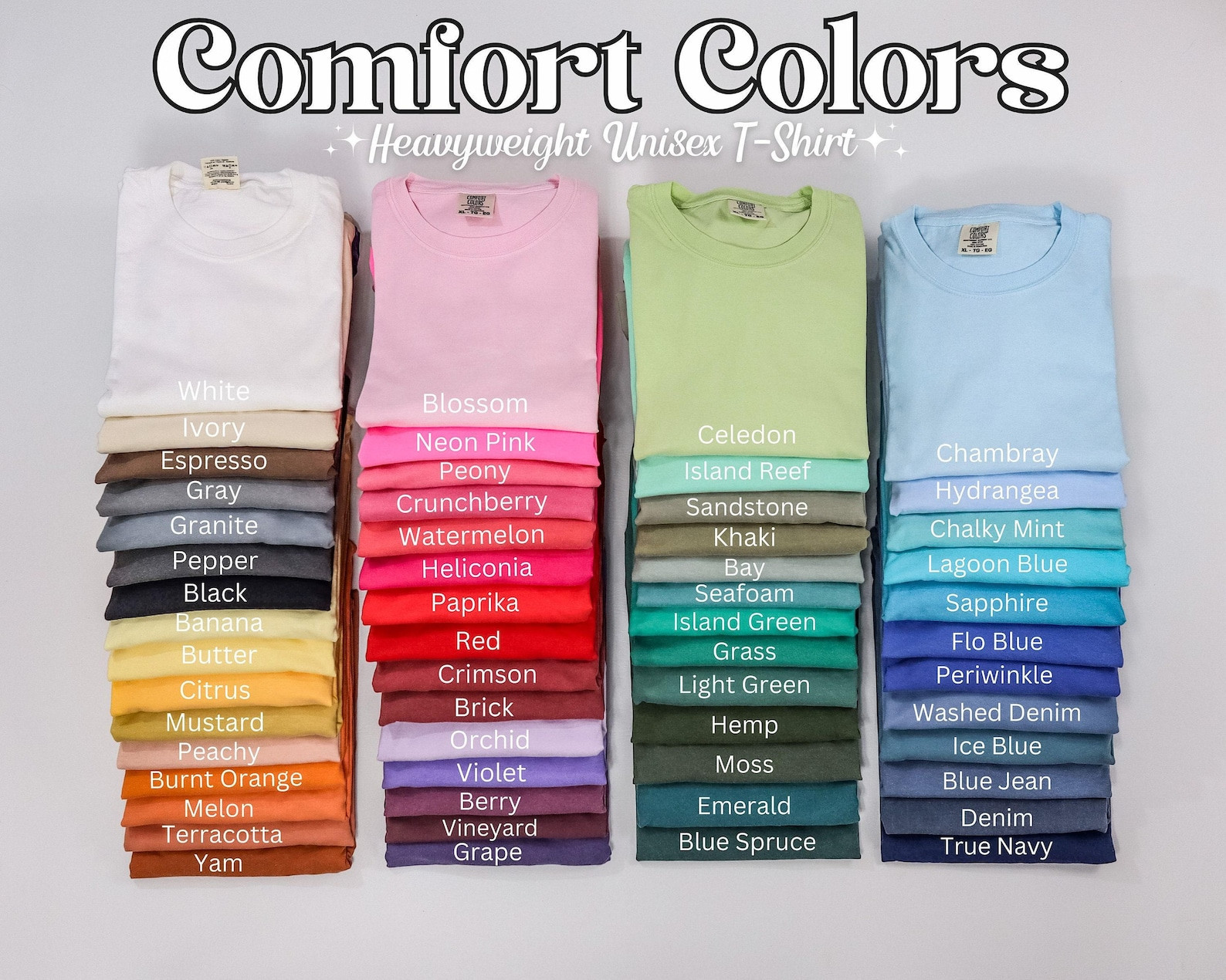 Funny Coworker Shirt Gift for Project Manager Boss Gift Funny Co-Worker Sarcast
