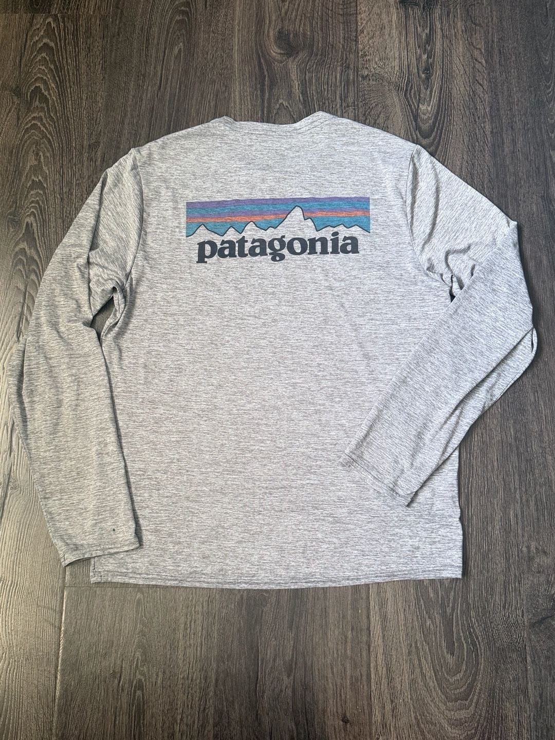 Patagonia Men’s Capilene Cool Daily Graphic Long-Sleeve Shirt in Feather Grey
