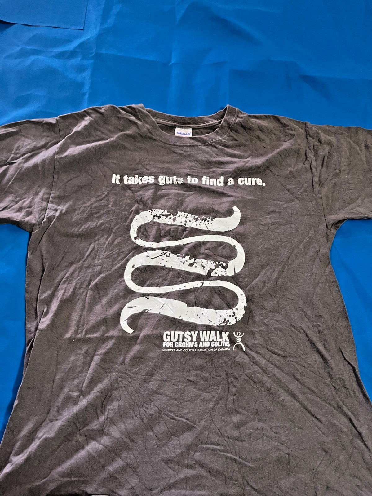 Gildan Gutsy Walk Crohn’s & Colitis Charity T-Shirt Gray Graphic Tee Adult Size