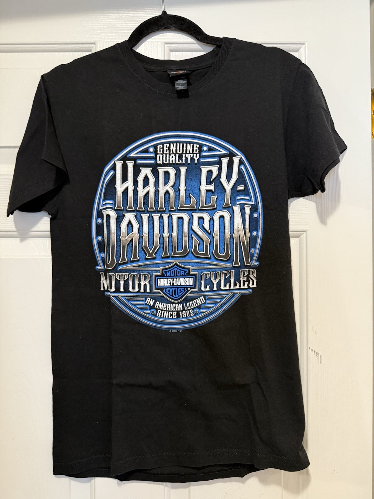 Harley-Davidson Men’s Black & Blue Smokey Mountain Graphic Logo T‑Shirt
