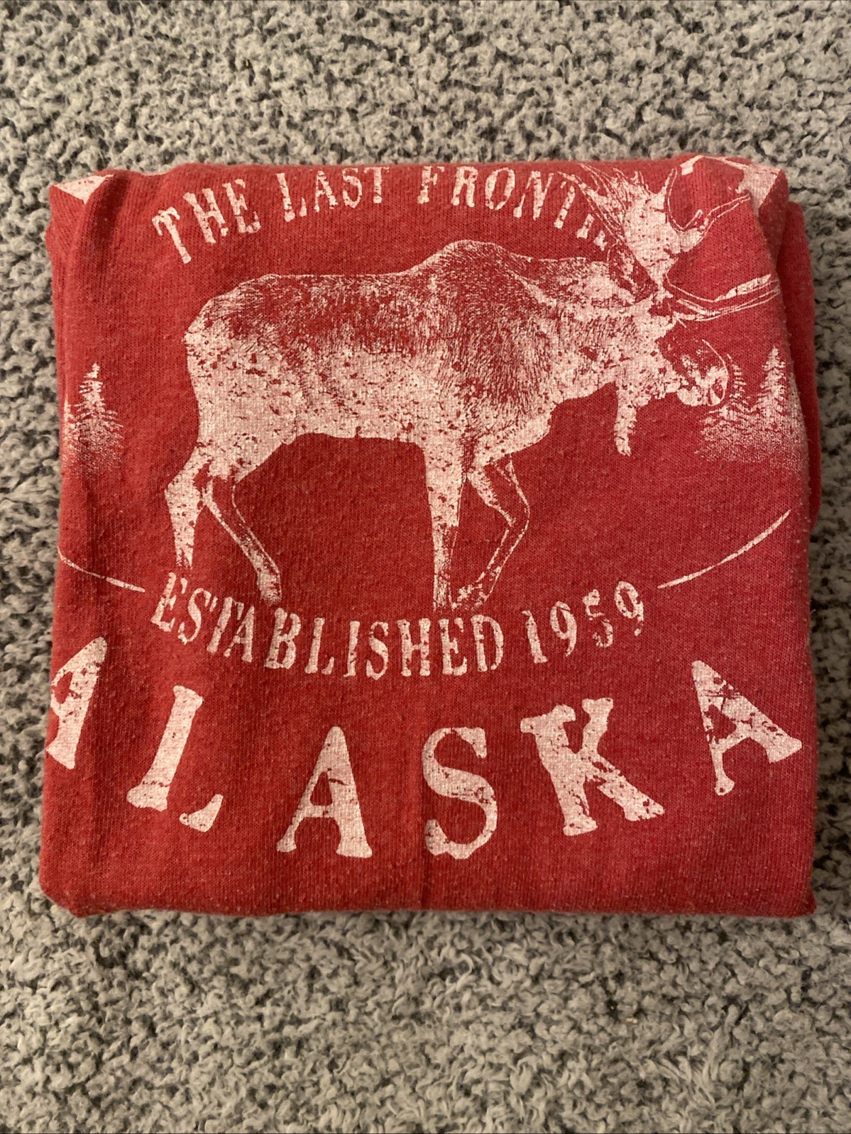 Skagway Alaska Last Frontier XL T-Shirt Established 1959