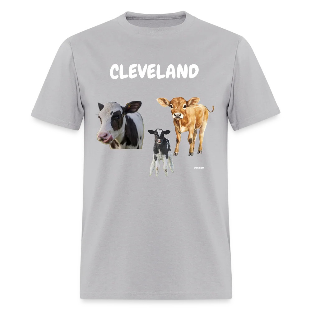 CAVS