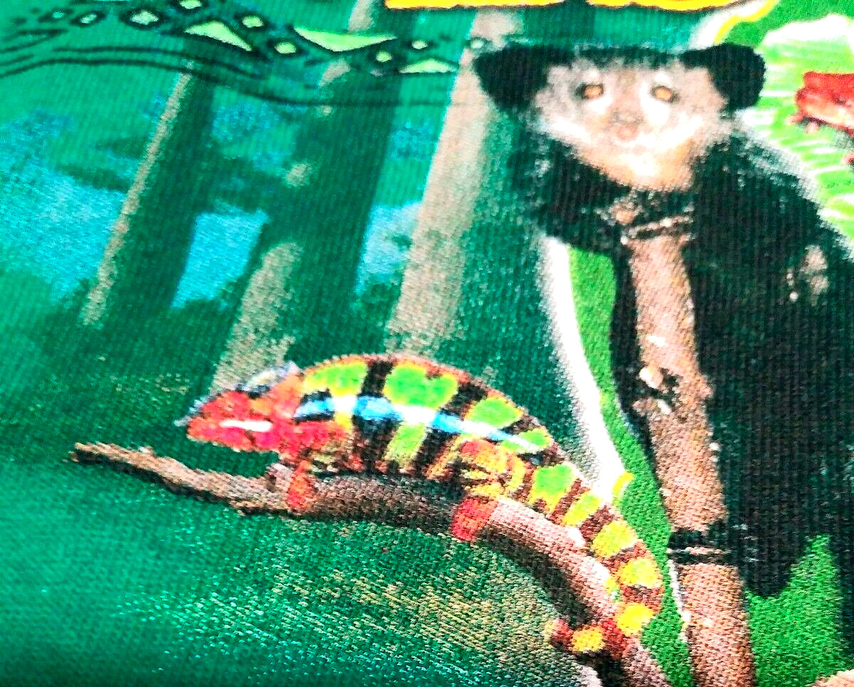Madagascar Rainforest Forever Wild Forever Free Green T-Shirt Men’s Large