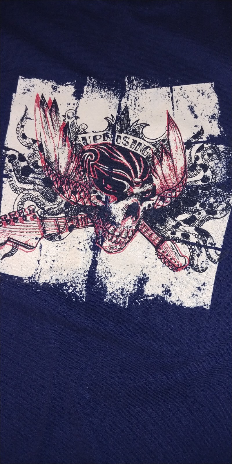 Birdhouse 90’s Y2K Tony Hawk Lg blue with gray longsleeve shirt front/back print