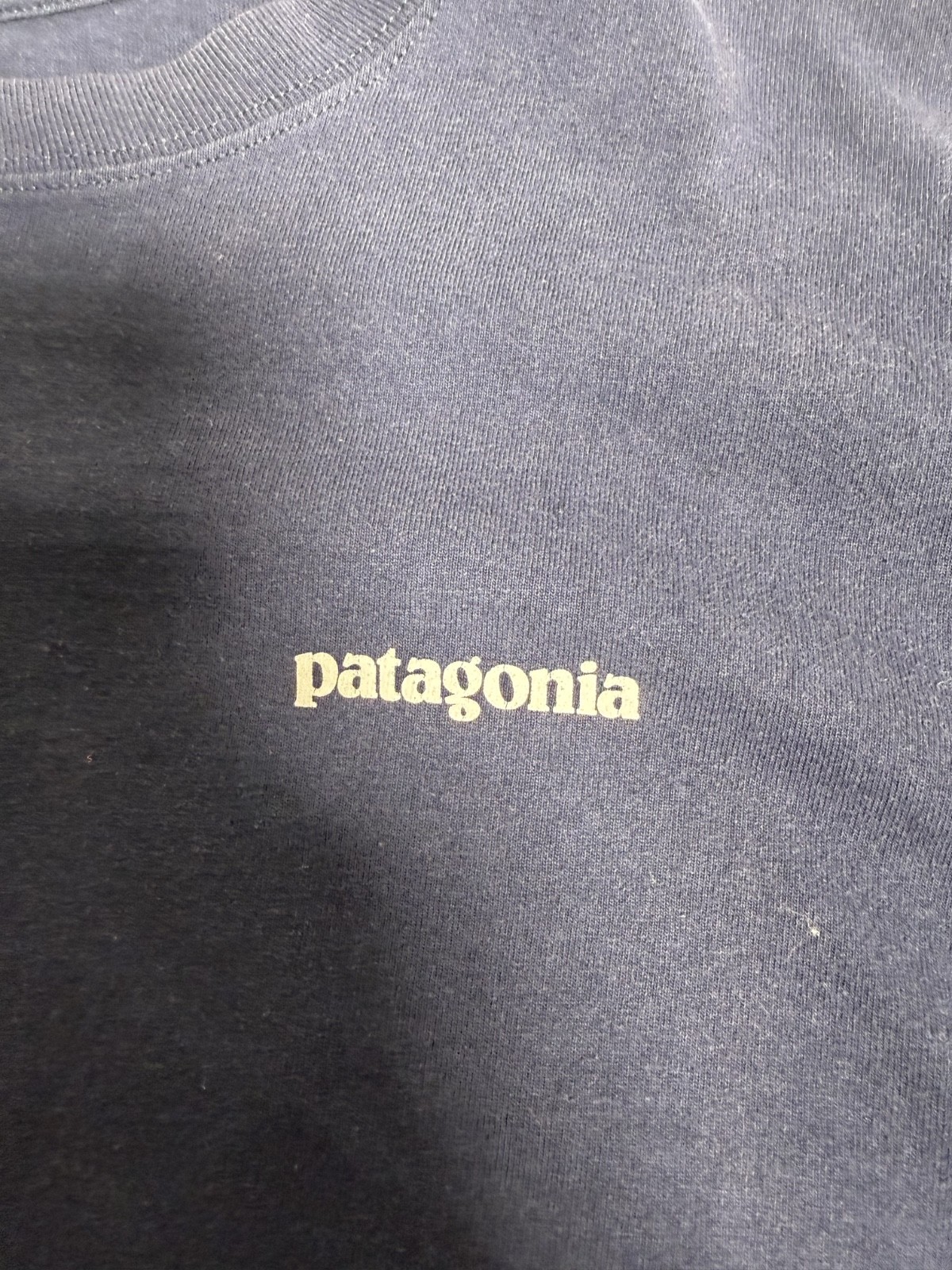 Patagonia Worn Wear Mens Long Sleeve T Shirt Blue Large Big Logo Cotton Tee