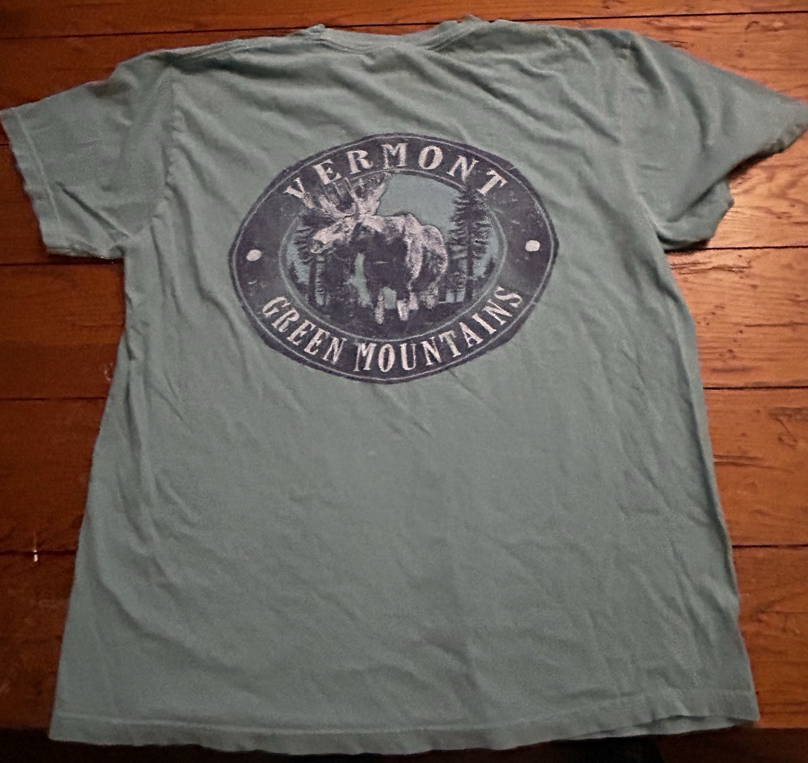 Comfort Colors Vermont Green Mountains cotton t-shirt with moose graphic, Large