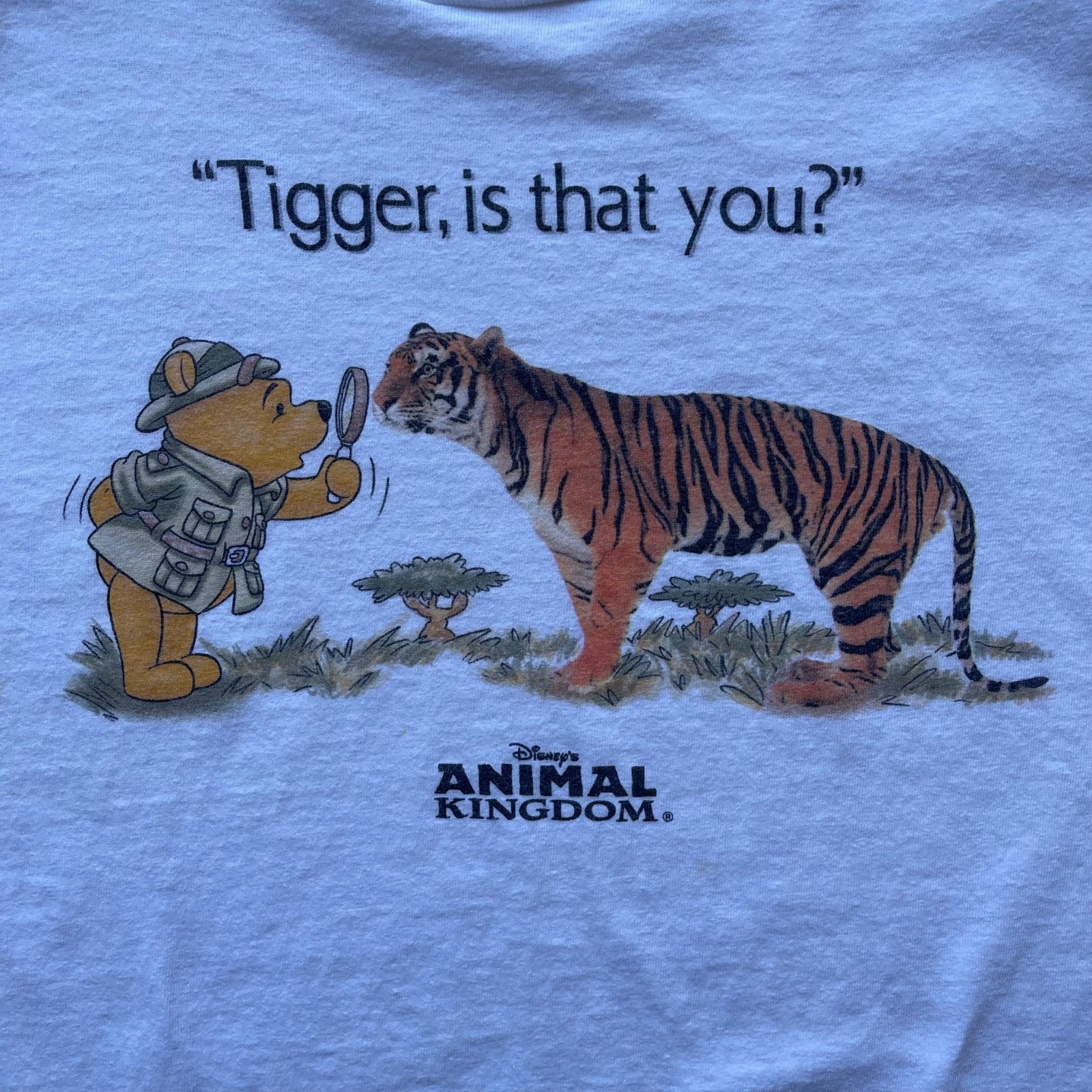 Retro 90s WINNIE THE P00H ”Tigger Is That You?” Promo Unisex Tee S-5XL