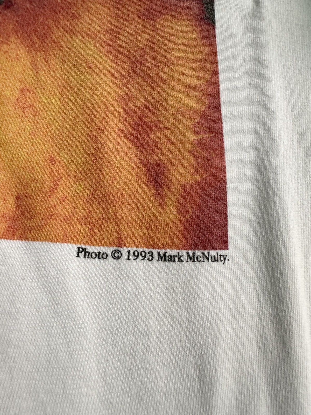 Rare Mark McNulty × Journal Standard Björk Photo Size L Tee