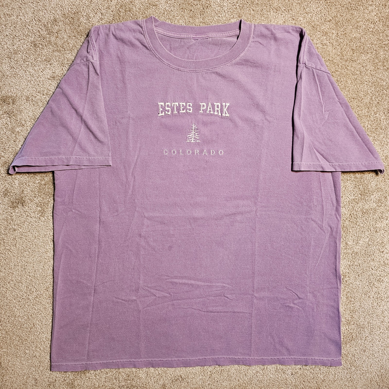Vintage 90s Y2k Estes Park Colorado T-shirt Mens XL Skate Souvenir Pastel Purple