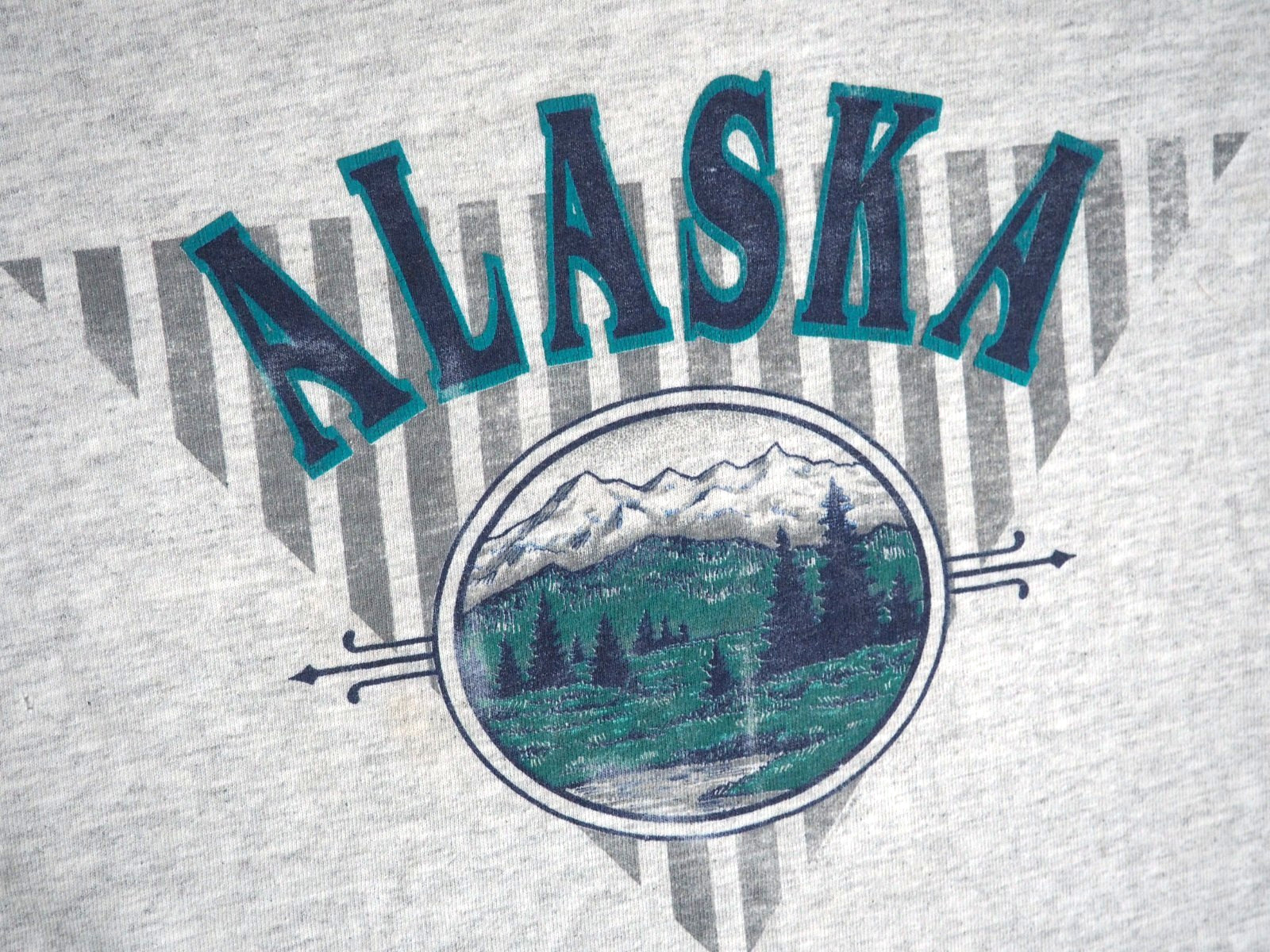 VTG 90s Signal Alaska Mountain Outdoor Nature Gray Blue USA Tee T-Shirt Mens M