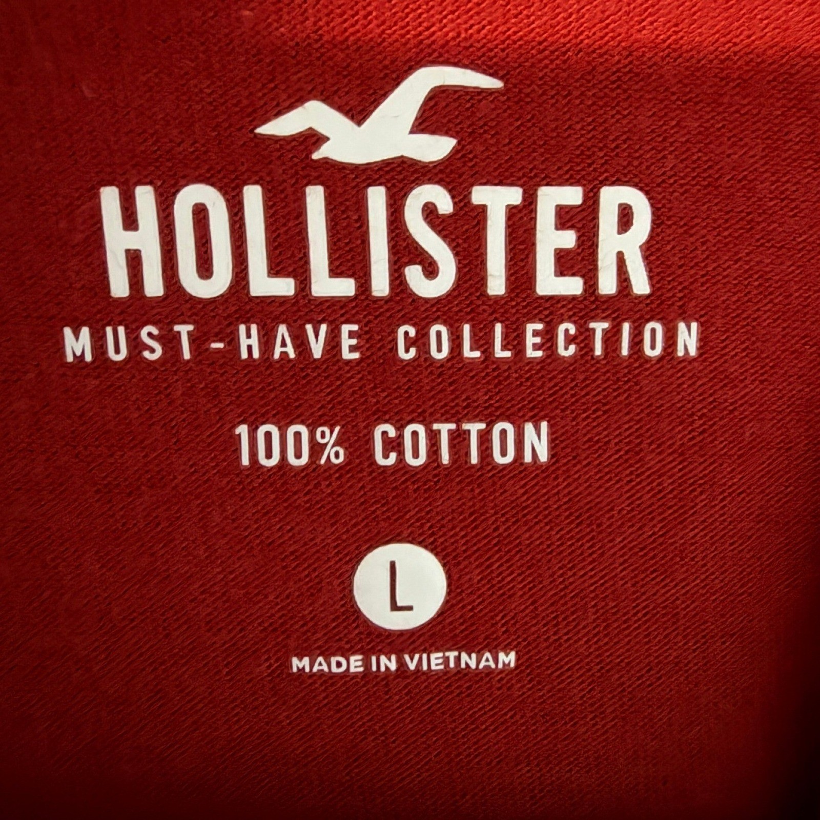 Hollister Men’s L Must-Have Collection Red Cotton Crew Neck Logo T-Shirt 0734