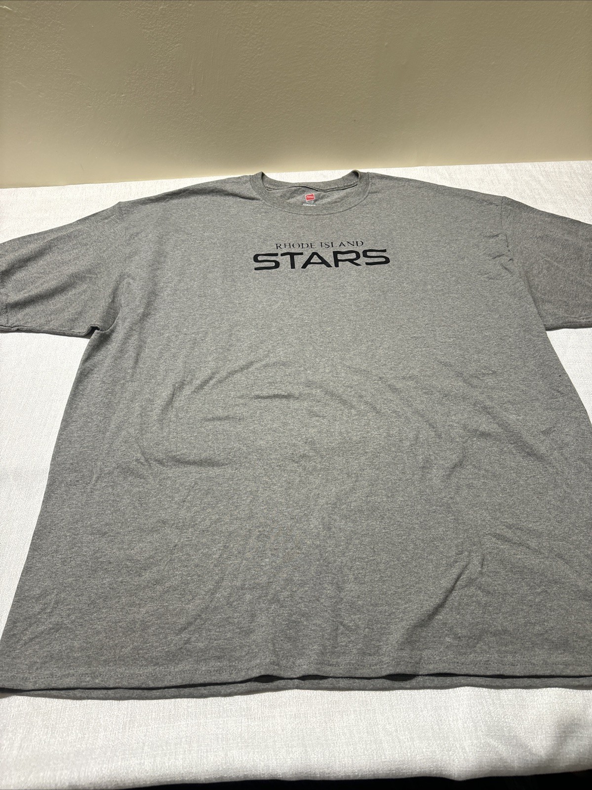 Hanes Men T Shirt Stylish T-Shirt