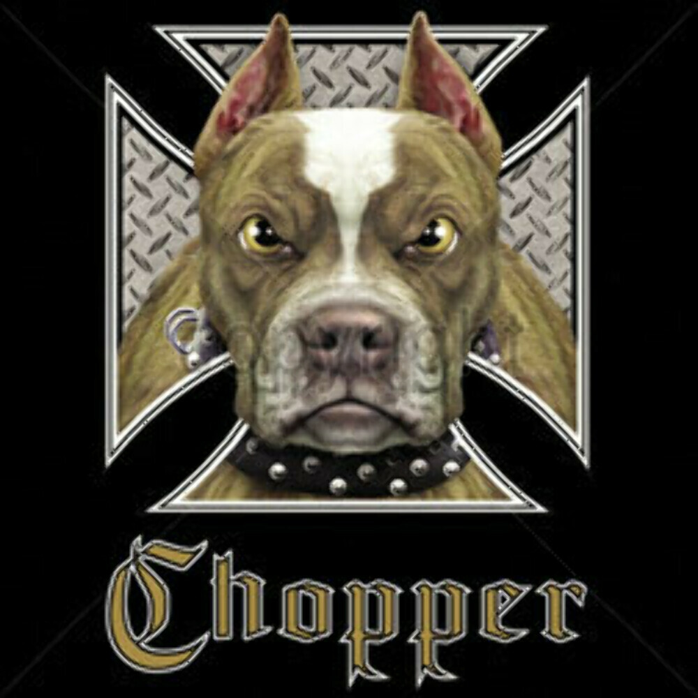 Adult DryBlend® T-Shirt – ( CHOPPER – BIKER / CHOPPER / PIT BULL)