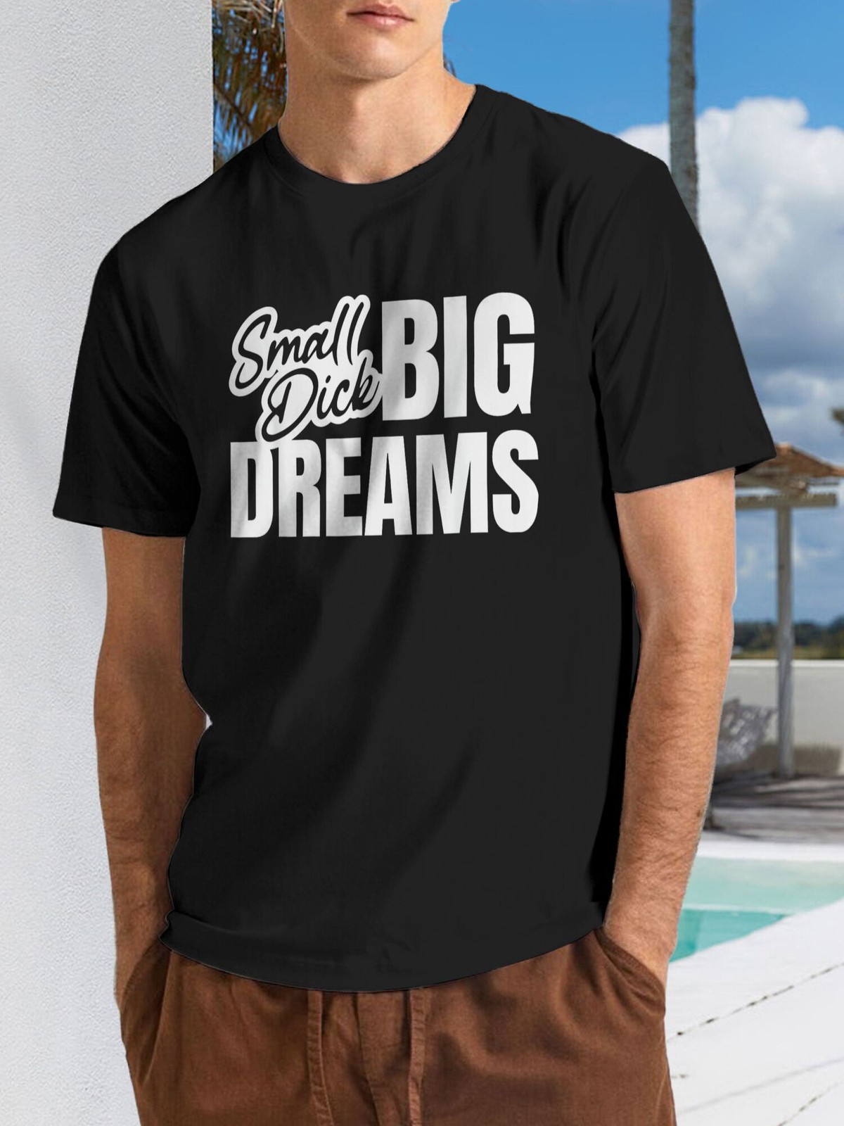 Men’s Funny Small Dick Big Dreams Sarcasm T-Shirt – Vintage Loose Fit Humor Te