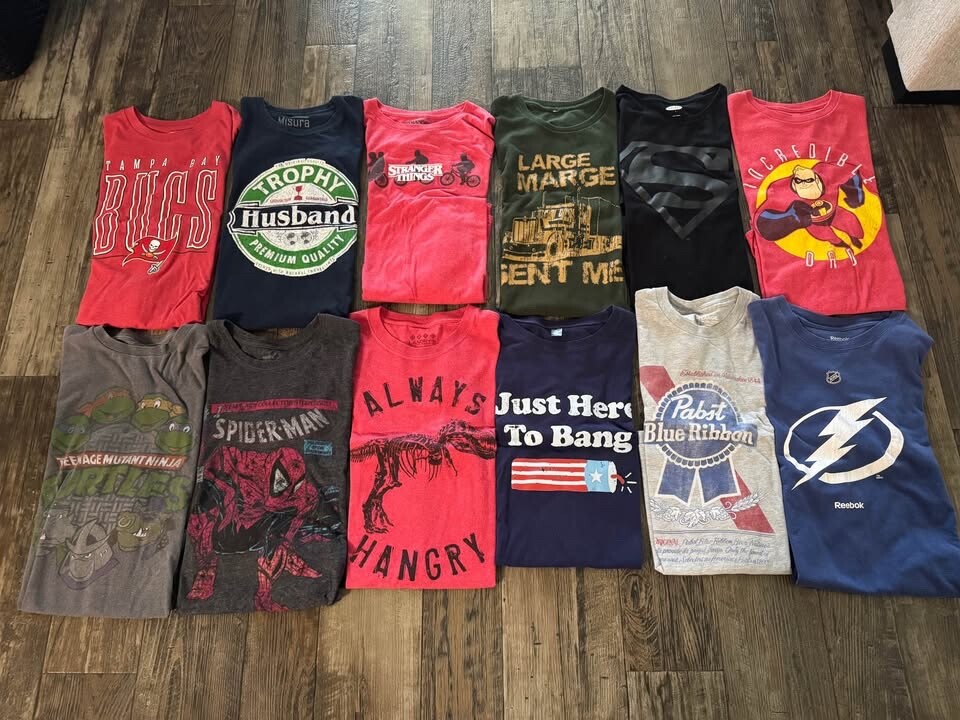 Lot of 12 Men’s Large T-Shirts