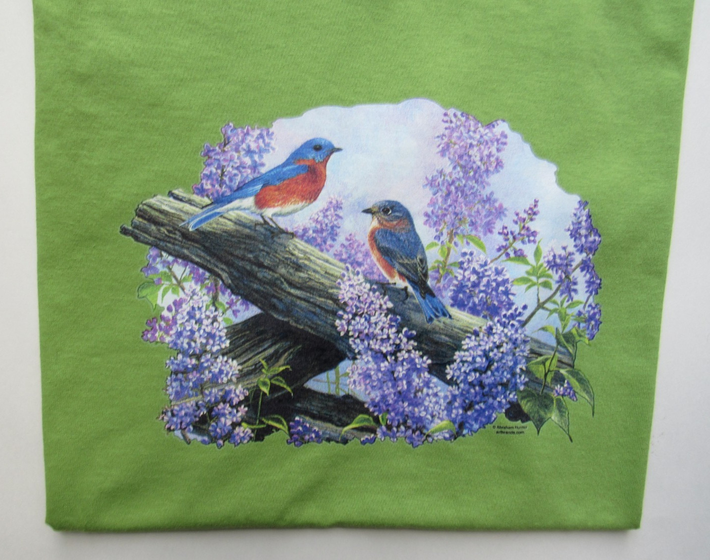 NEW Spring Courting bluebirds short sleeve olive green T-shirt – Large