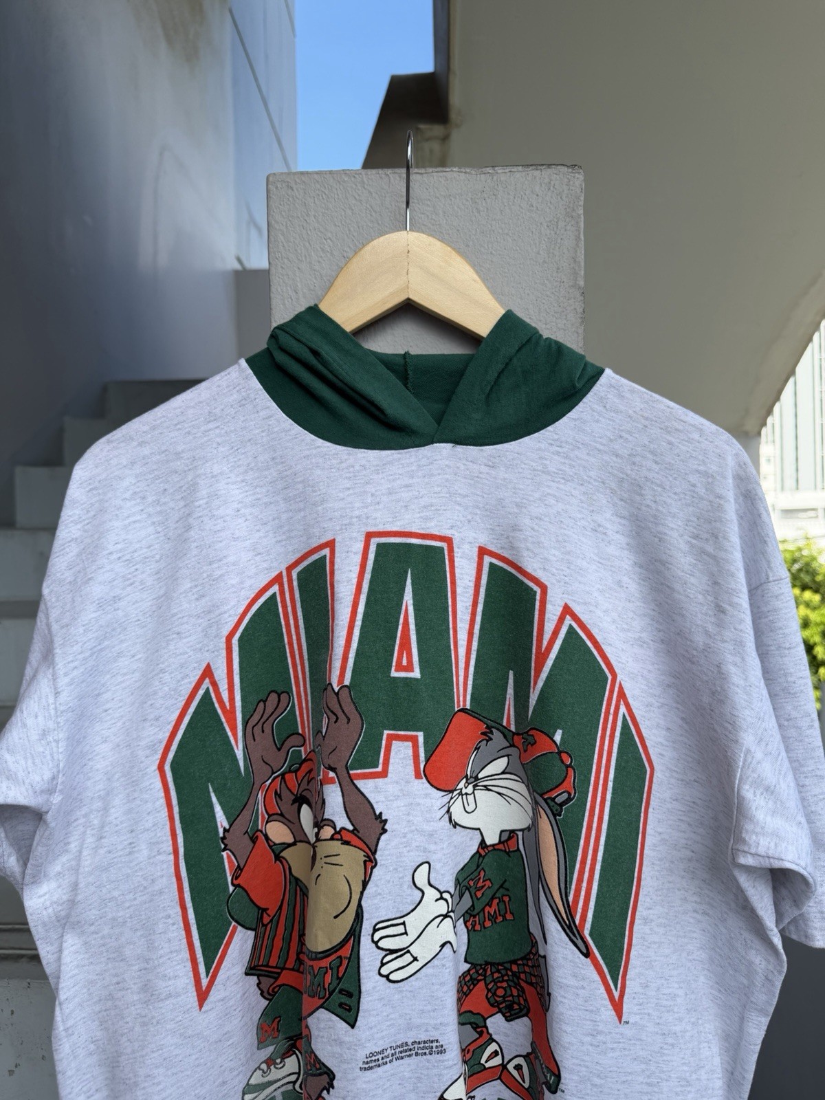Vintage 1993 Taz Tasmanian Devil Hooded T-Shirt XL Looney Tunes Single Stitch US