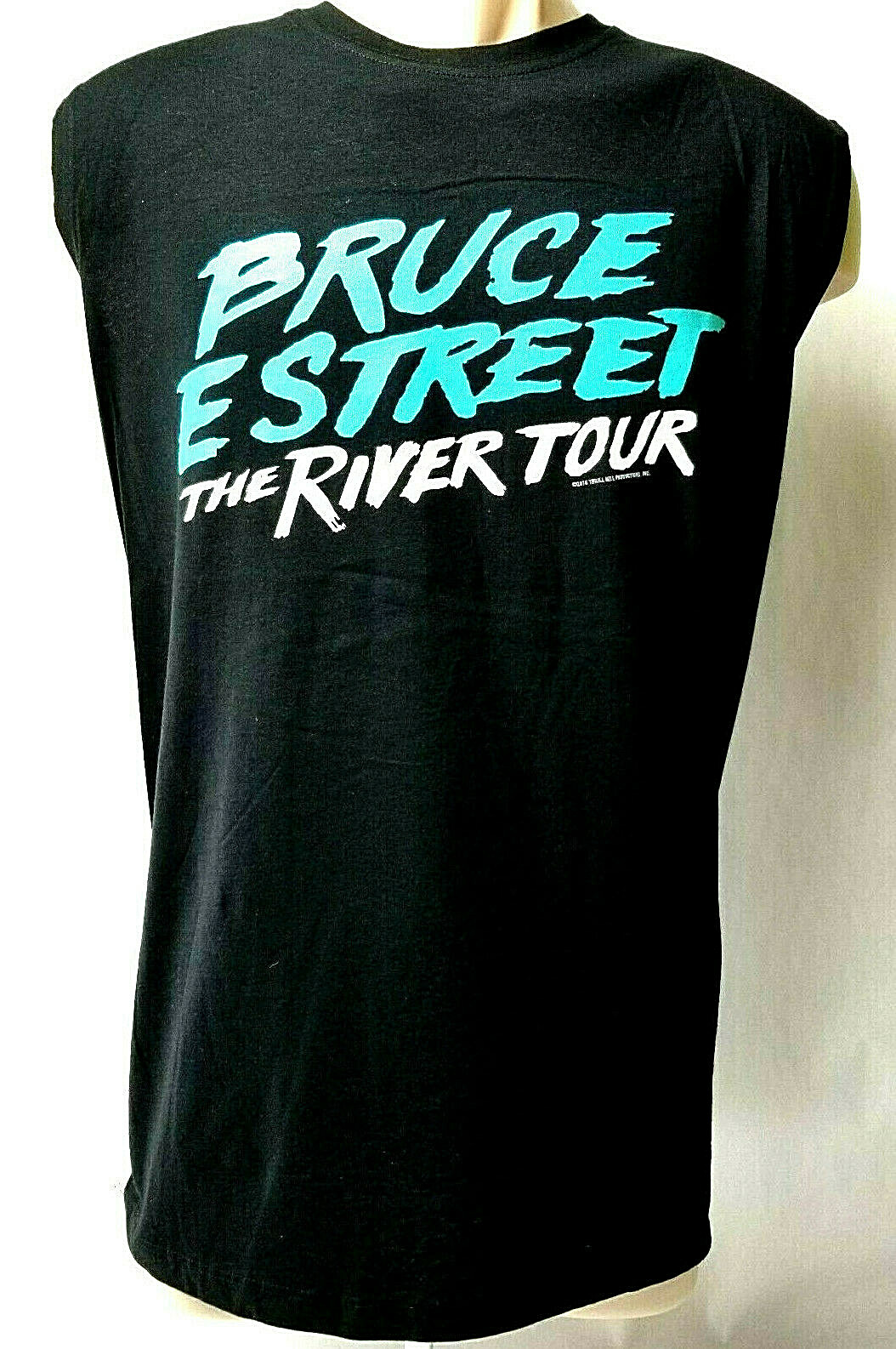 Bruce Springsteen E Street Band Sleeveless Tank Concert T Shirt The River Tour