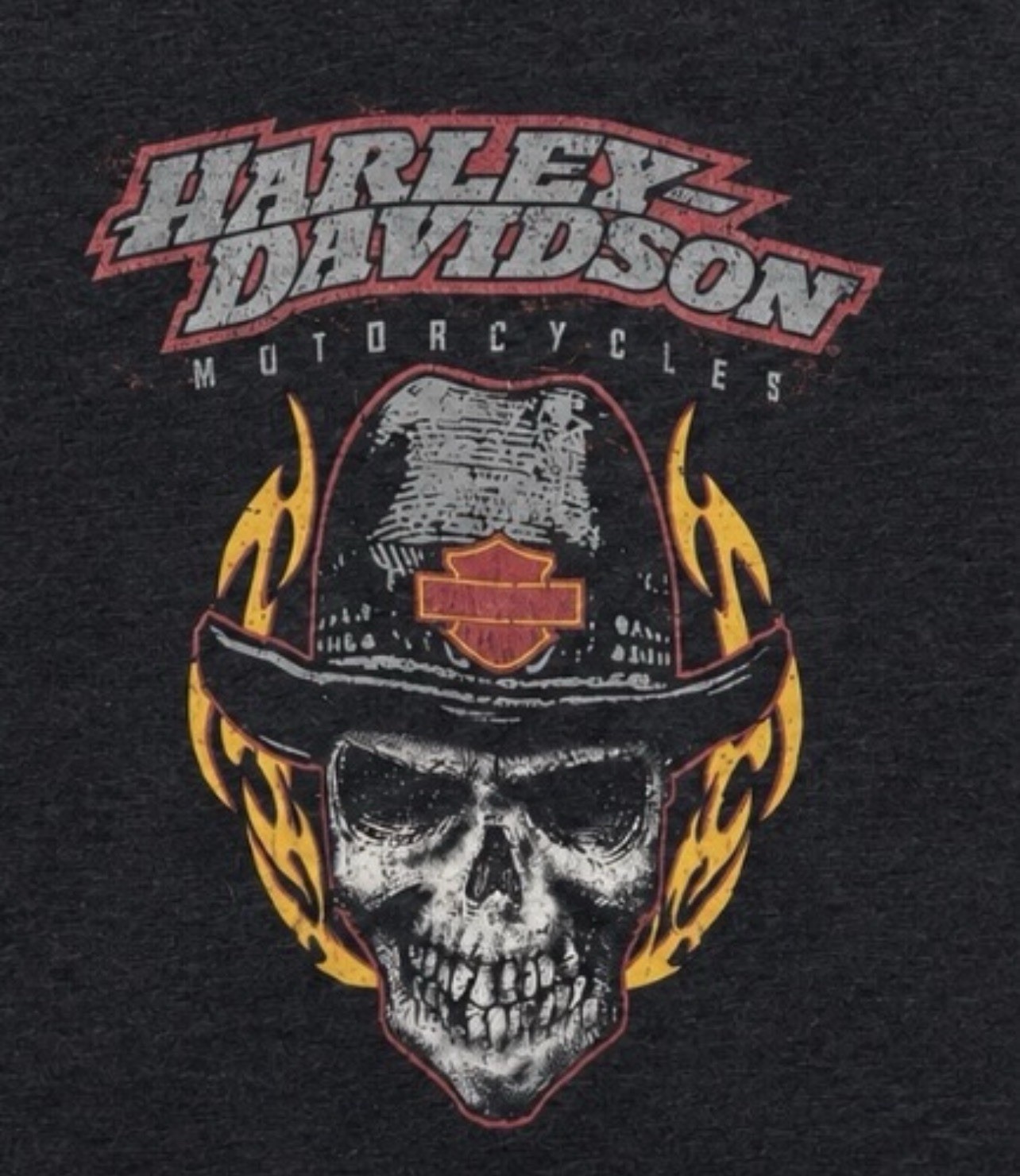Harley Davidson T-Shirt Cowboy Skull Flames Men’s Large Biker Illinois