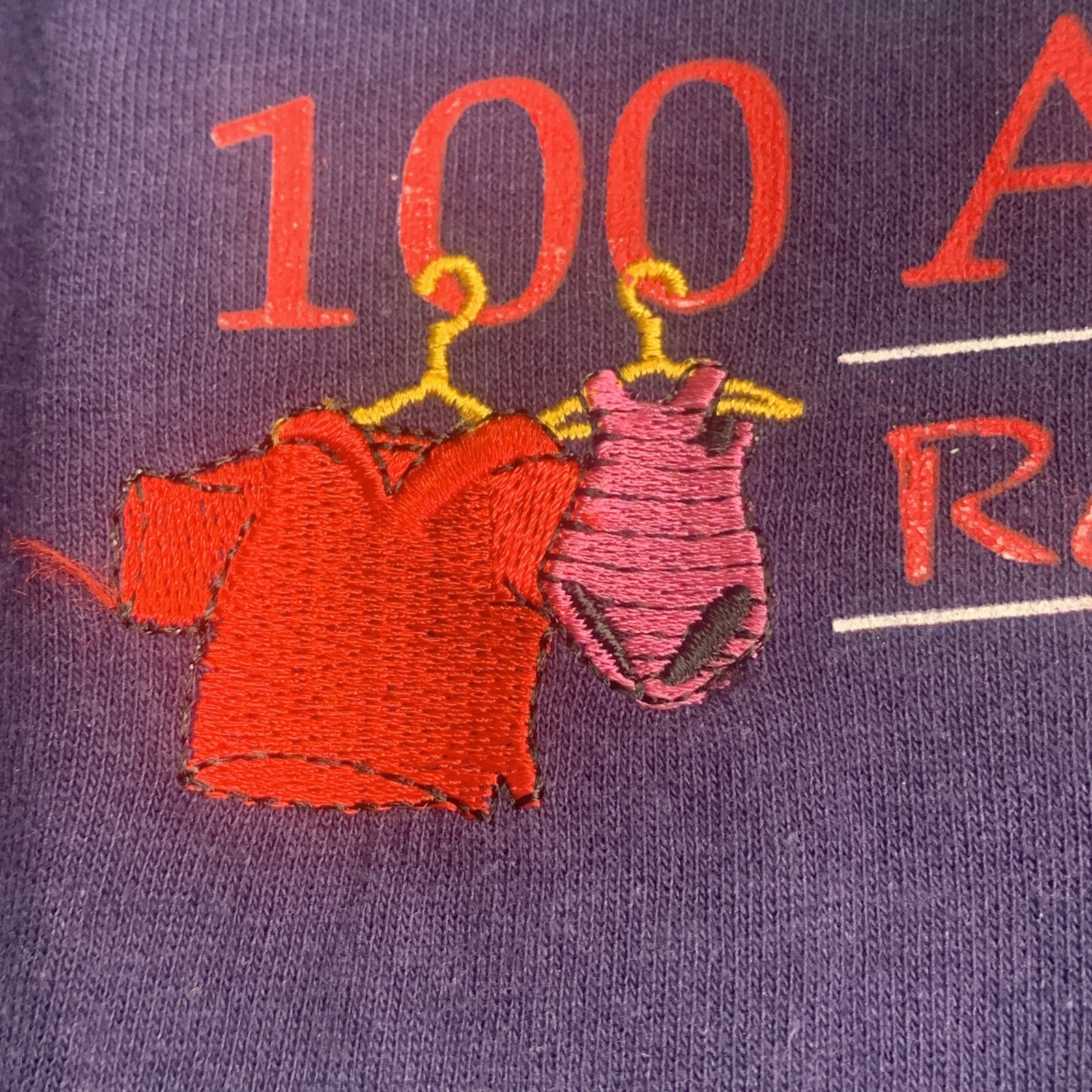 Disney Originals Single Stitch Embroidered Shirt 100 Acre Wood Resort and Spa