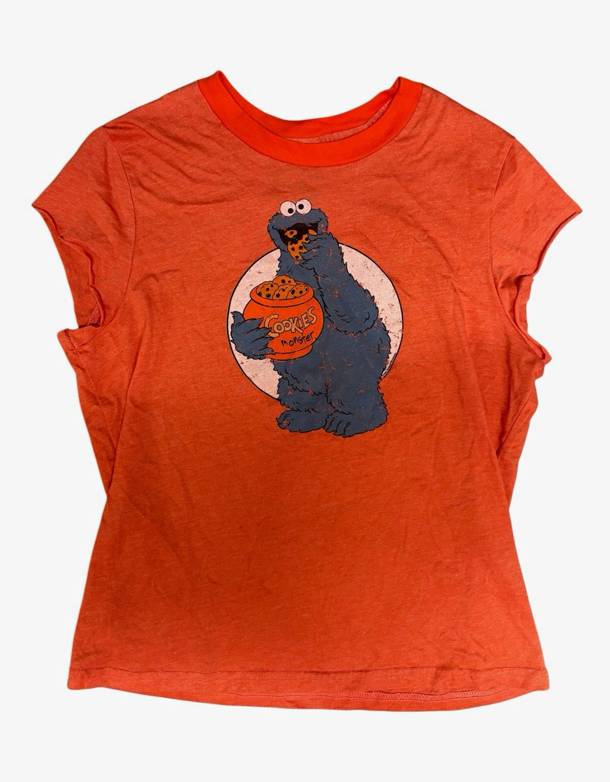 Y2K Junk Food Sesame Street Cookie Monster Friends Rachel Green Size fits Small